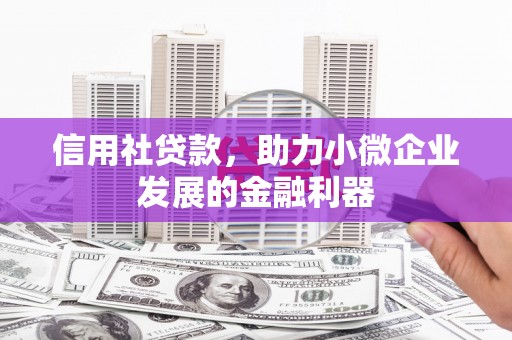 西华信用社贷款，助力小微企业发展的金融利器