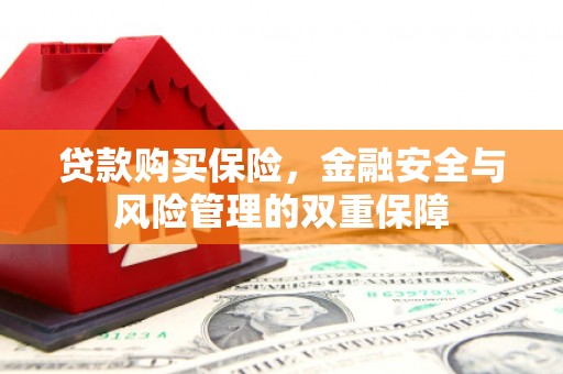 西华贷款购买保险，金融安全与风险管理的双重保障