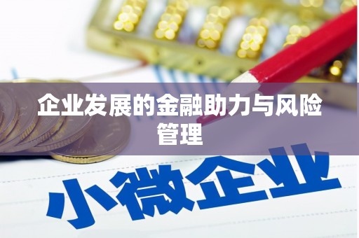 西华企业发展的金融助力与风险管理
