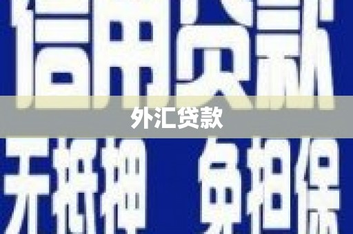 西华外汇贷款