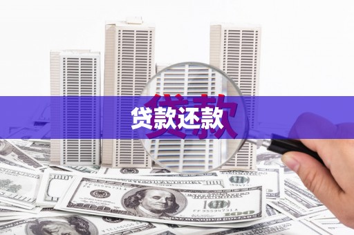 西华贷款还款