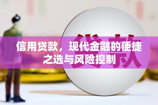 西华信用贷款，现代金融的便捷之选与风险控制