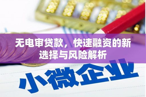 西华无电审贷款，快速融资的新选择与风险解析