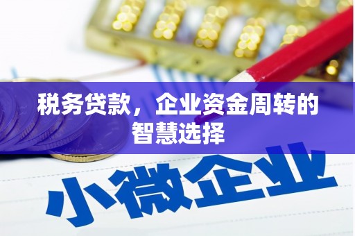 西华税务贷款，企业资金周转的智慧选择