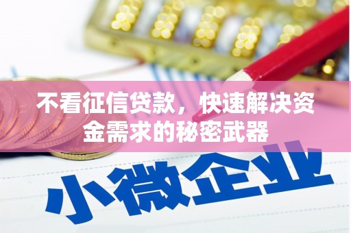西华不看征信贷款，快速解决资金需求的秘密武器