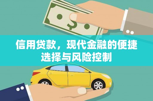 西华信用贷款，现代金融的便捷选择与风险控制