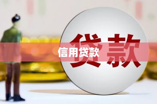 西华信用贷款