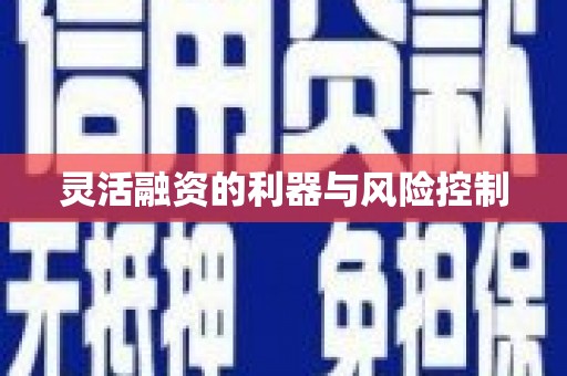 西华灵活融资的利器与风险控制