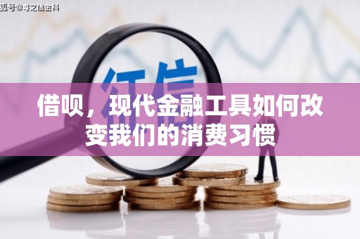 西华借呗，现代金融工具如何改变我们的消费习惯