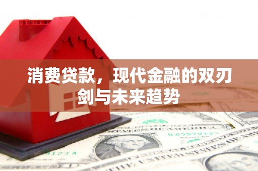 西华消费贷款，现代金融的双刃剑与未来趋势