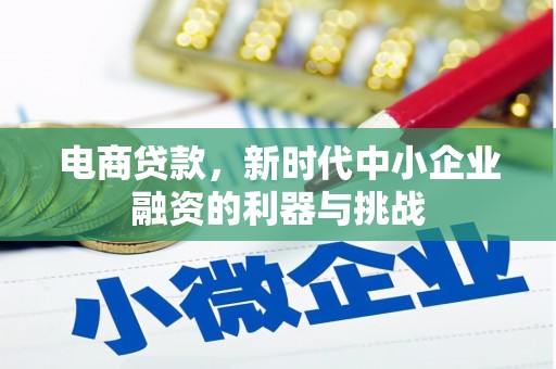 西华电商贷款，新时代中小企业融资的利器与挑战