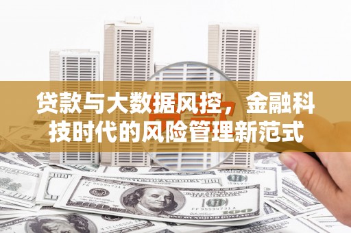 西华贷款与大数据风控，金融科技时代的风险管理新范式