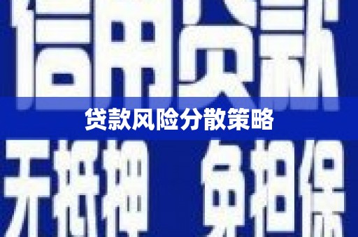 西华贷款风险分散策略