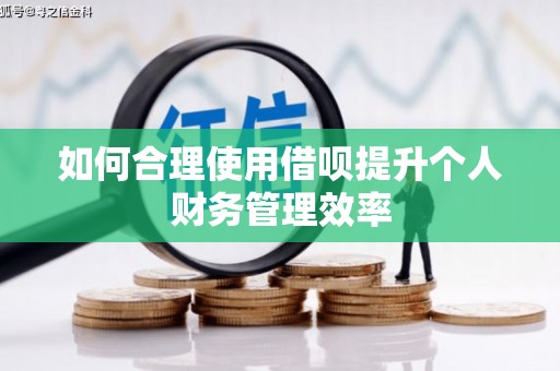 西华如何合理使用借呗提升个人财务管理效率