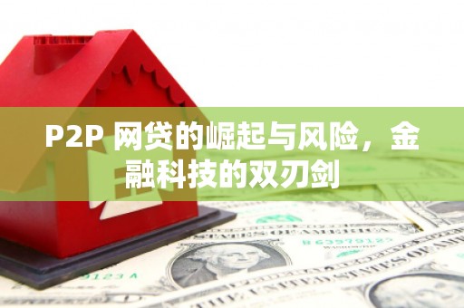 西华P2P 网贷的崛起与风险，金融科技的双刃剑