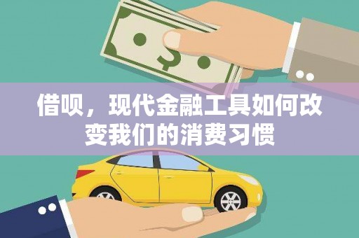 西华借呗，现代金融工具如何改变我们的消费习惯