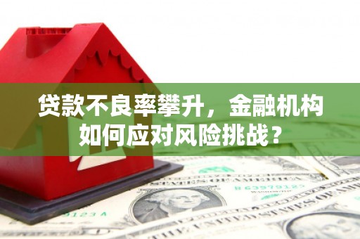西华贷款不良率攀升，金融机构如何应对风险挑战？