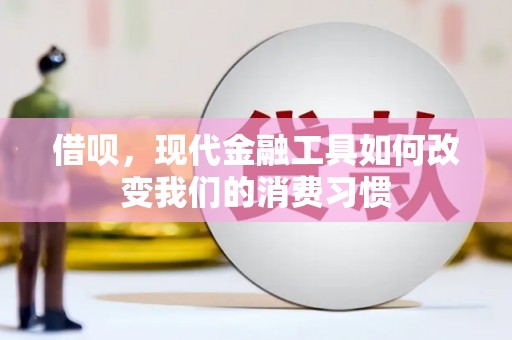 西华借呗，现代金融工具如何改变我们的消费习惯