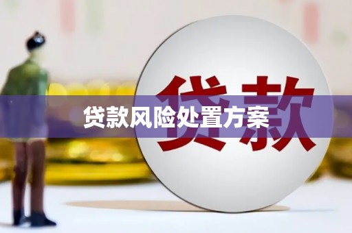 西华贷款风险处置方案