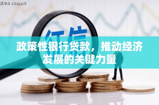 西华政策性银行贷款，推动经济发展的关键力量