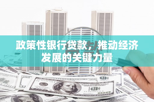 西华政策性银行贷款，推动经济发展的关键力量