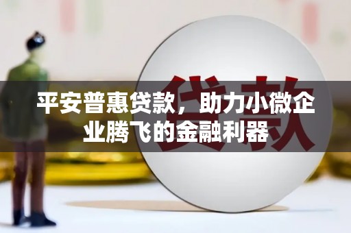 西华平安普惠贷款，助力小微企业腾飞的金融利器