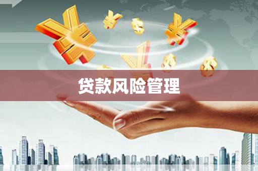 西华贷款风险管理