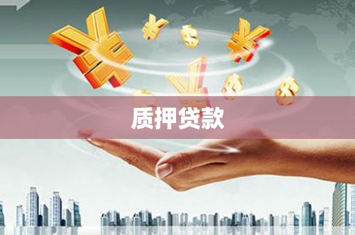 西华质押贷款