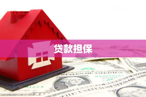 西华贷款担保