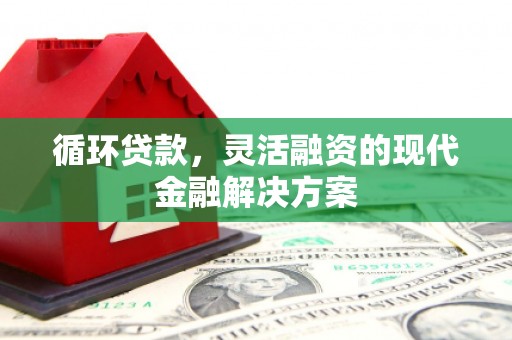 西华循环贷款，灵活融资的现代金融解决方案