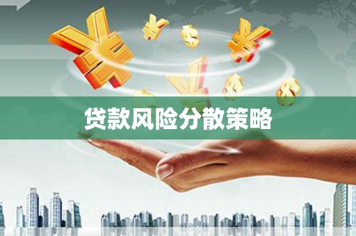 西华贷款风险分散策略