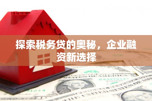 西华探索税务贷的奥秘，企业融资新选择