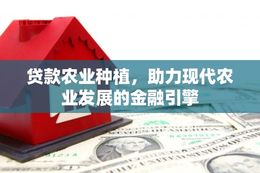西华贷款农业种植，助力现代农业发展的金融引擎