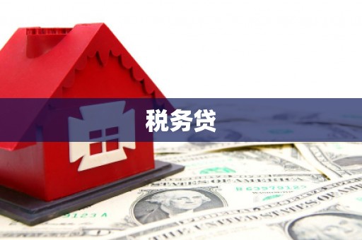 西华税务贷