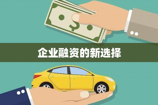 西华企业融资的新选择