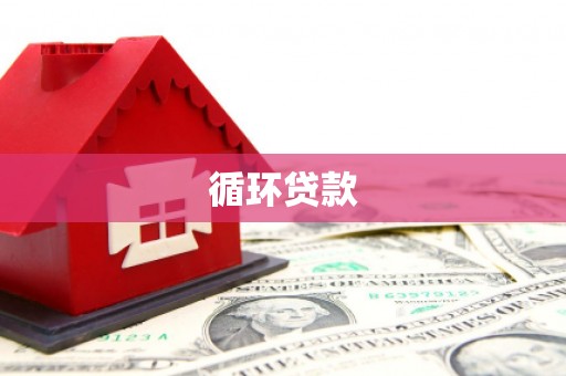 西华循环贷款