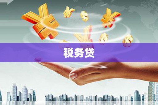 西华税务贷
