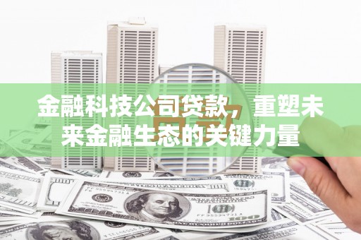 西华金融科技公司贷款，重塑未来金融生态的关键力量