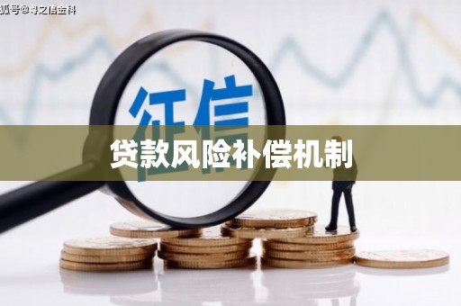 西华贷款风险补偿机制