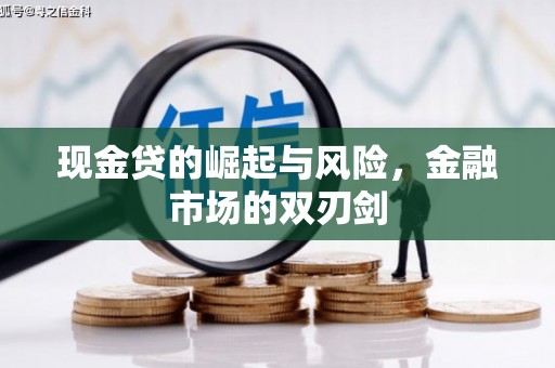 西华现金贷的崛起与风险，金融市场的双刃剑