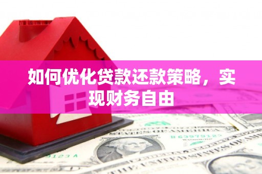 西华如何优化贷款还款策略，实现财务自由