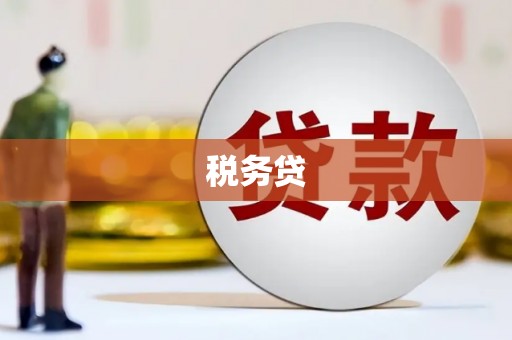 西华税务贷
