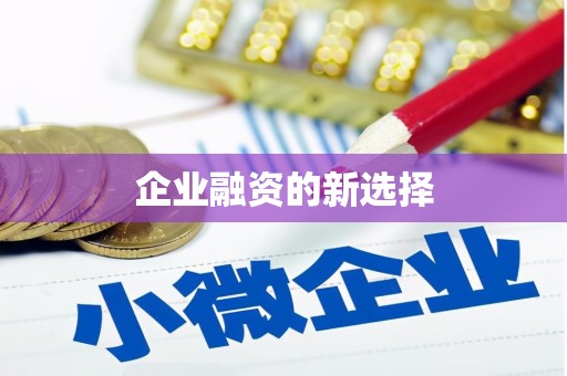 西华企业融资的新选择