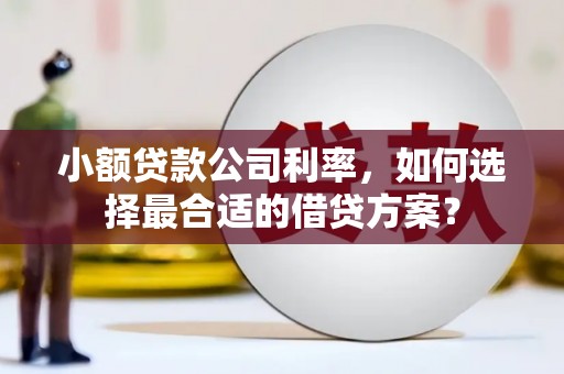 西华小额贷款公司利率，如何选择最合适的借贷方案？
