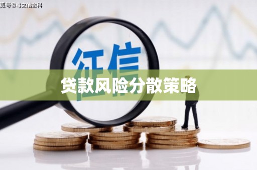 西华贷款风险分散策略