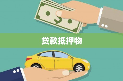 西华贷款抵押物