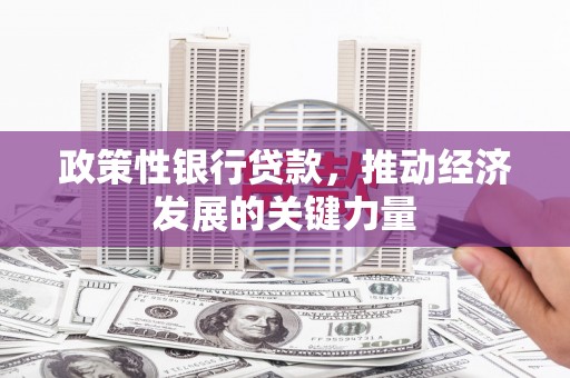 西华政策性银行贷款，推动经济发展的关键力量