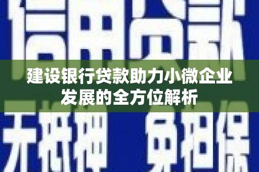 西华建设银行贷款助力小微企业发展的全方位解析