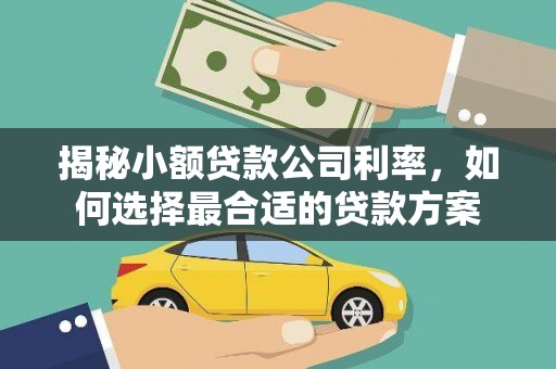 西华揭秘小额贷款公司利率，如何选择最合适的贷款方案