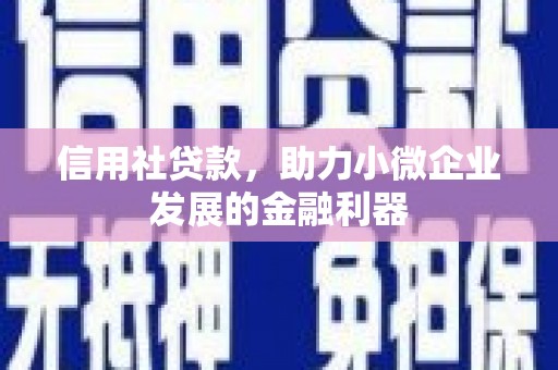 西华信用社贷款，助力小微企业发展的金融利器